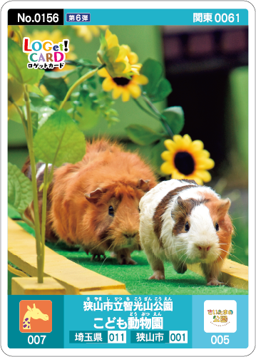 カード情報 | ロゲットカード公式サイト | ニシムラ精密地形模型