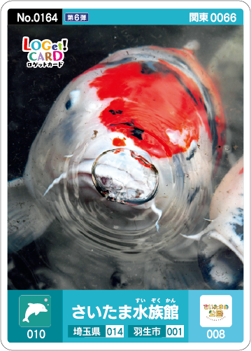 カード情報 | ロゲットカード公式サイト | ニシムラ精密地形模型